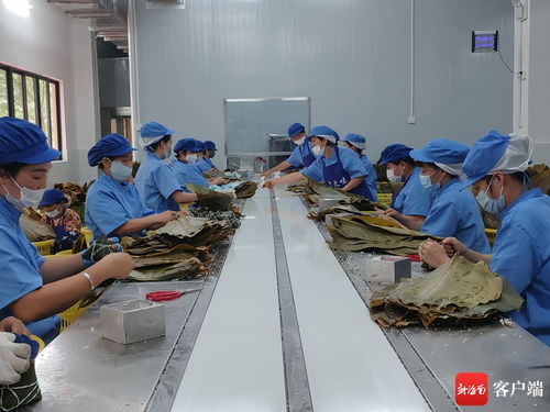 萬粽飄香忙出單，和樂粽企迎戰(zhàn)端午生產(chǎn)高峰